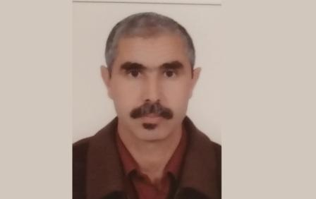أرى الطير.. | محمد رفيق